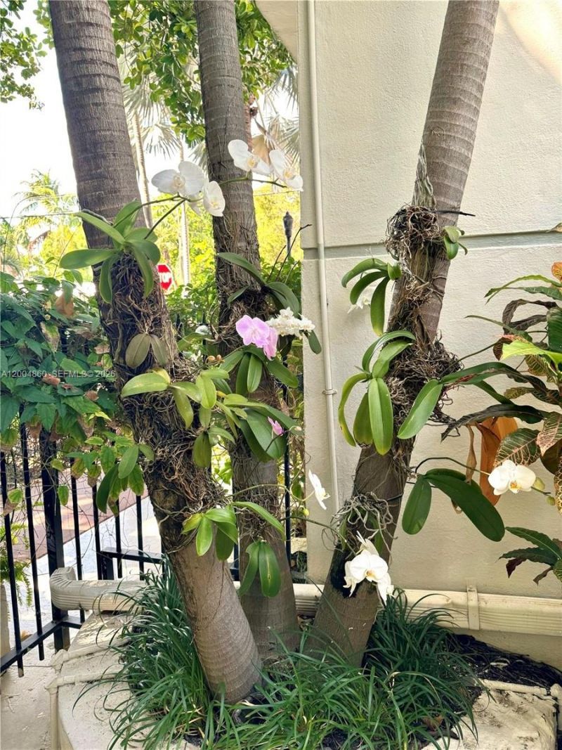 349 Meridian Ave , Unit B202, Miami Beach, FL 33139 Photo