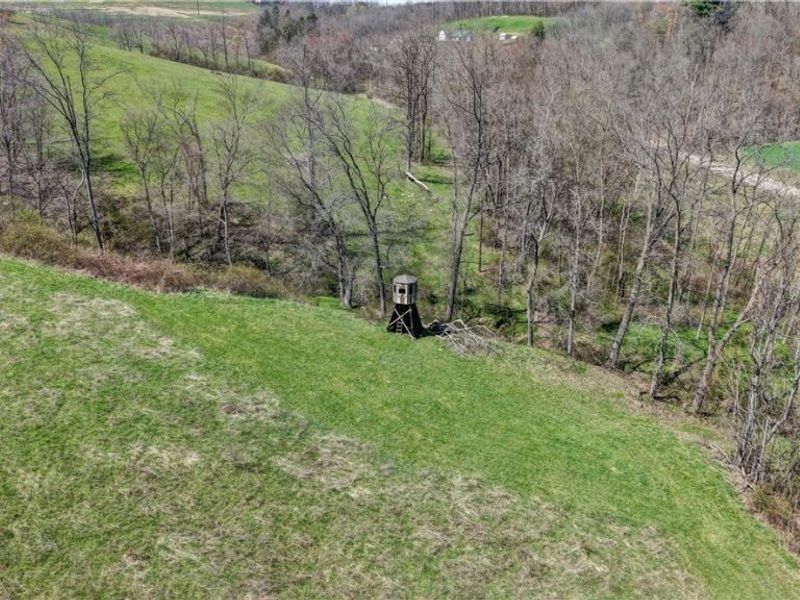 Ragersville Road, Baltic, OH 43804 Photo 12