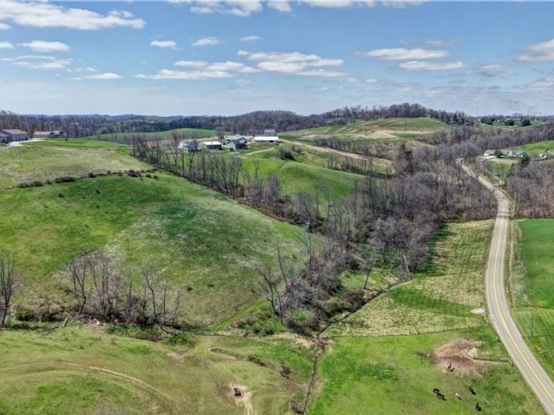 Ragersville Road, Baltic, OH 43804 Photo 16