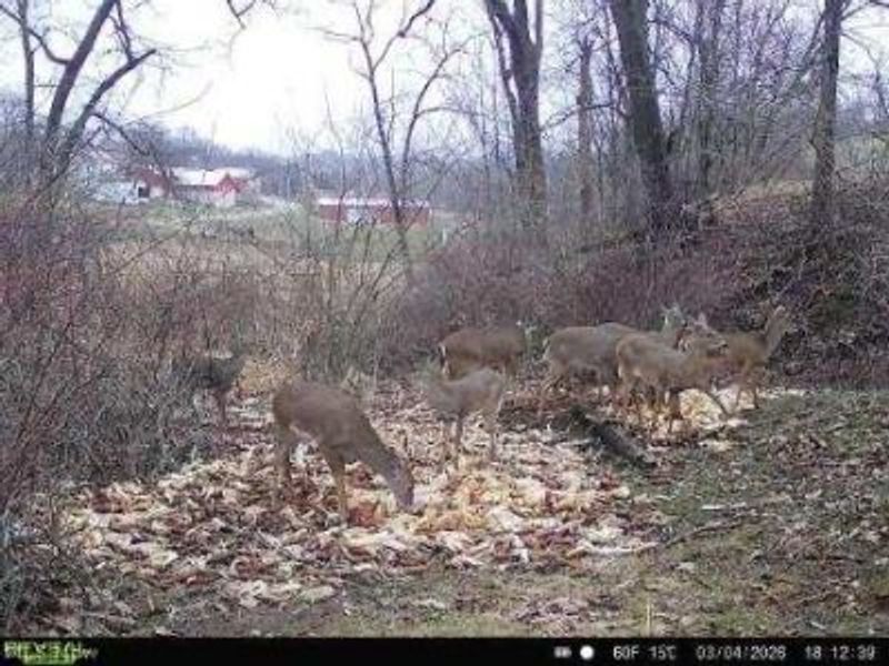 Ragersville Road, Baltic, OH 43804 Photo 21