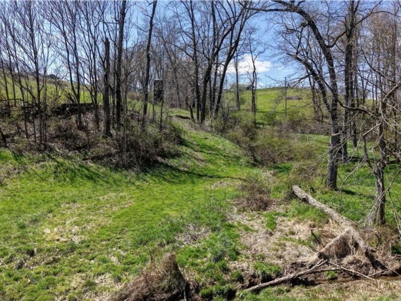 Ragersville Road, Baltic, OH 43804 Photo 5