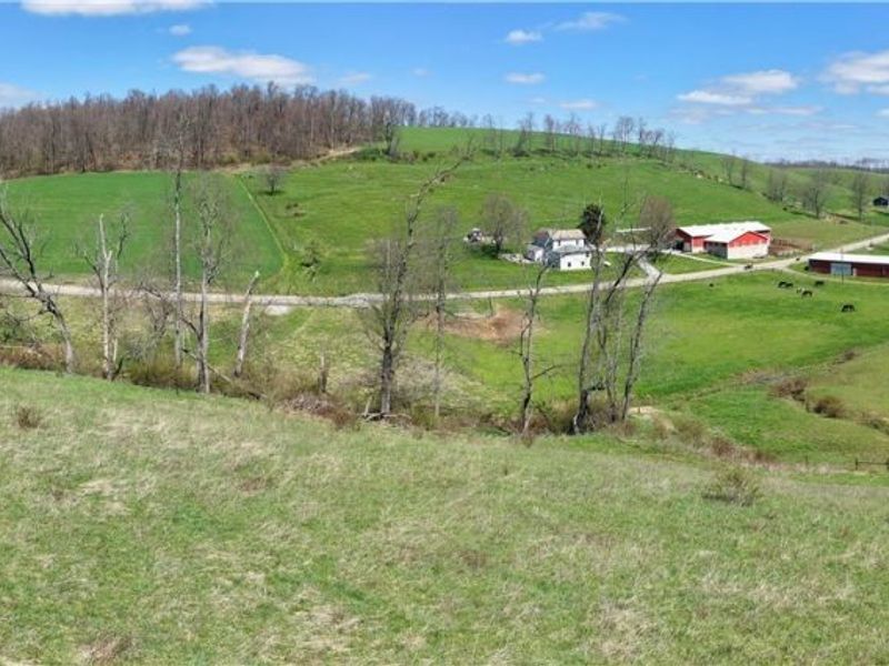 Ragersville Road, Baltic, OH 43804 Photo 7