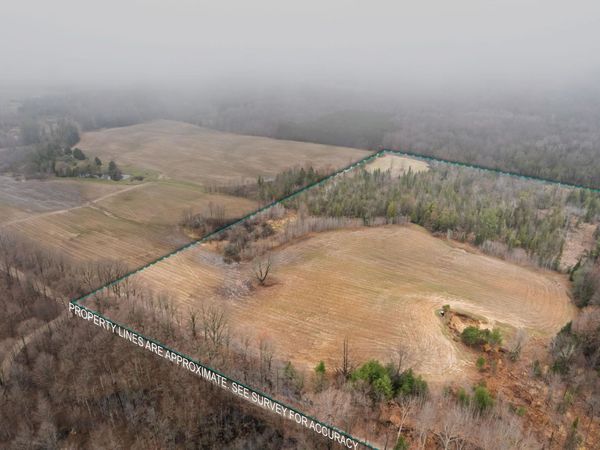 Gleaner Hall Road, Kingsley, MI 49649