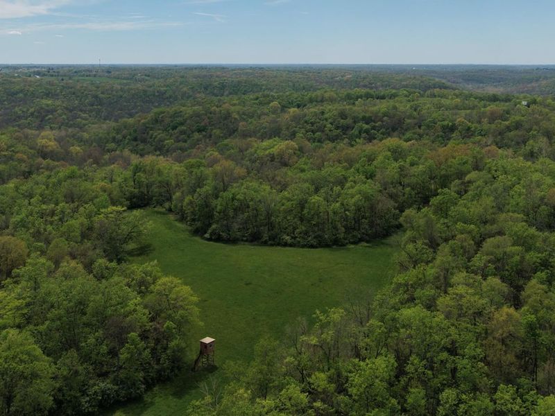 1557 Beaver Road, Walton, KY 41094 Photo 15
