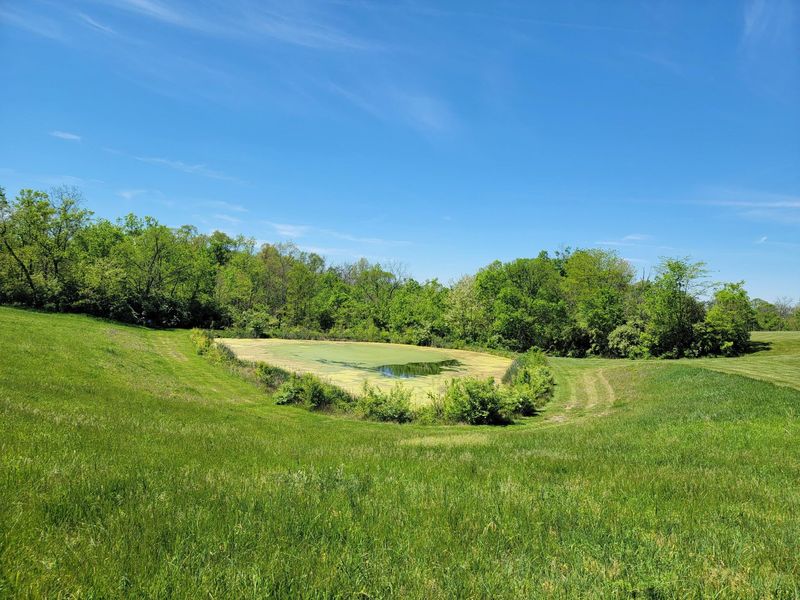 1557 Beaver Road, Walton, KY 41094 Photo 32