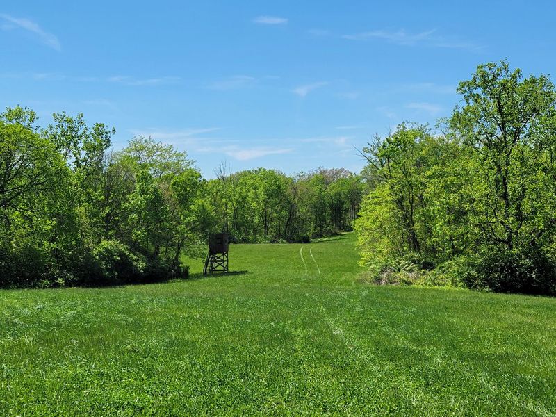 1557 Beaver Road, Walton, KY 41094 Photo 33