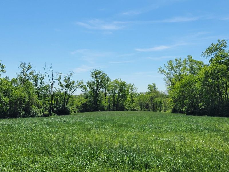 1557 Beaver Road, Walton, KY 41094 Photo 34