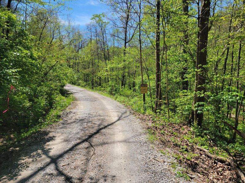 1557 Beaver Road, Walton, KY 41094 Photo 35