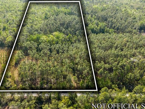 Unassigned, Steinhatchee, FL 32359