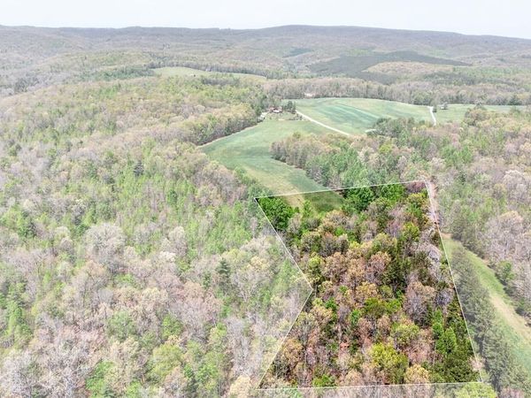 Lot 4 Smith Mountain Rd, Rockwood, TN 37854