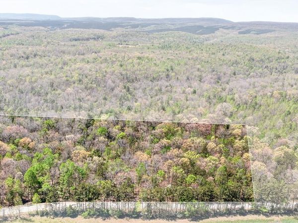 Lot 3 Smith Mountain Rd, Rockwood, TN 37854