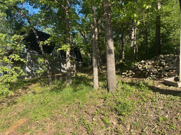 Tbd Black Oak Resort Lane , Lampe, MO 65681