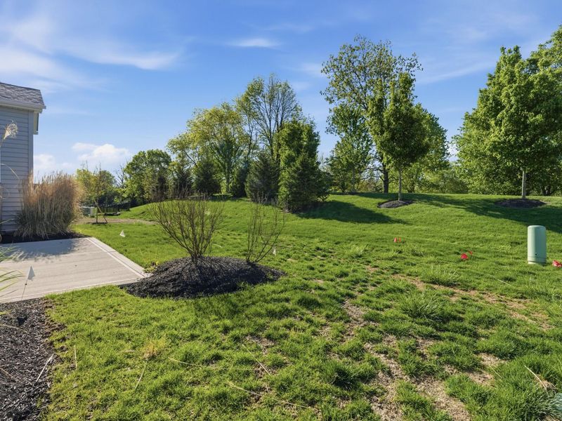 3215 Farmhouse Lane, Grove City, OH 43123 Photo 44