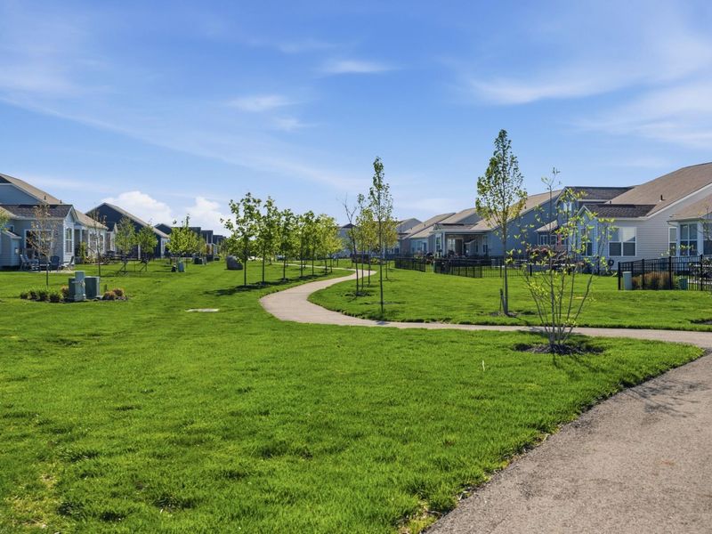 3215 Farmhouse Lane, Grove City, OH 43123 Photo 48