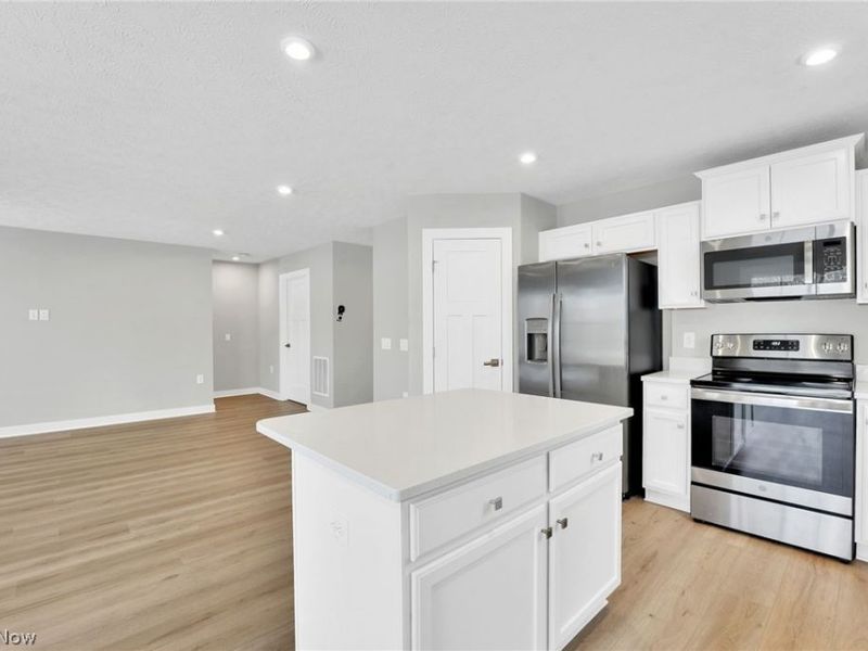 113 W Spring Drive, Elyria, OH 44035 Photo 10