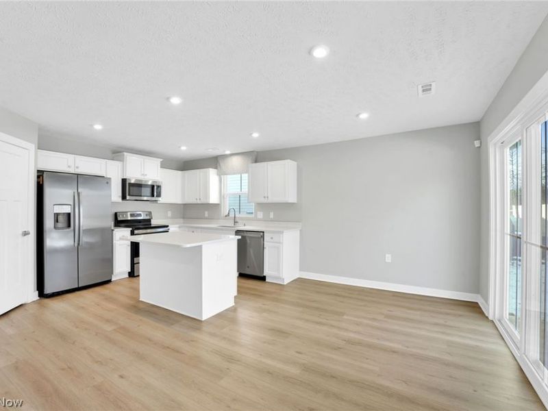 113 W Spring Drive, Elyria, OH 44035 Photo 11