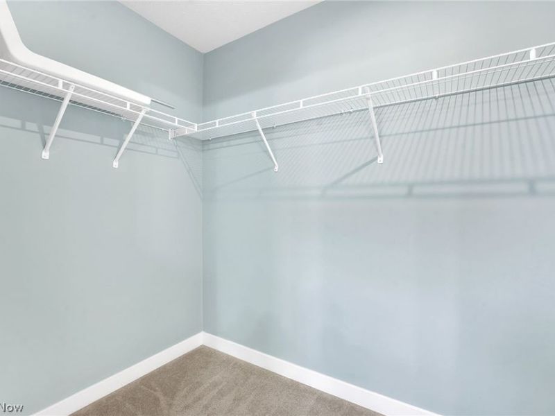 113 W Spring Drive, Elyria, OH 44035 Photo 16