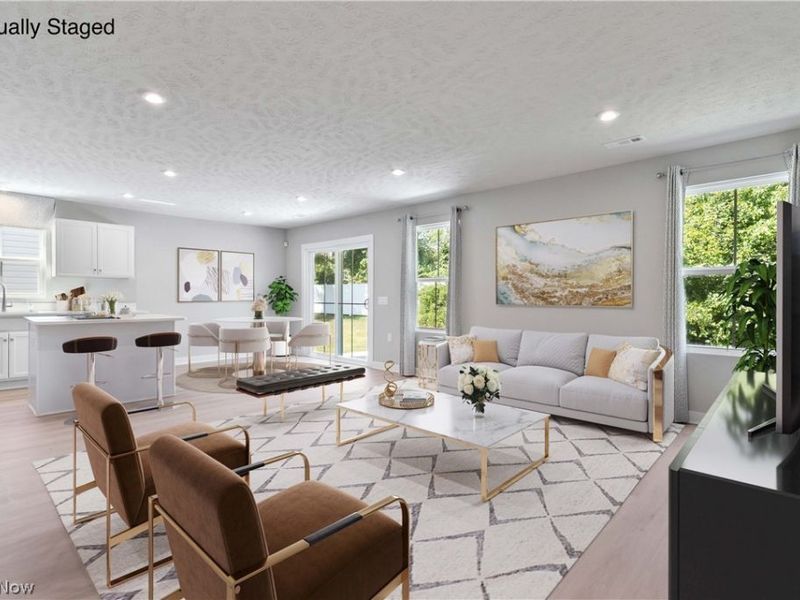 113 W Spring Drive, Elyria, OH 44035 Photo 2