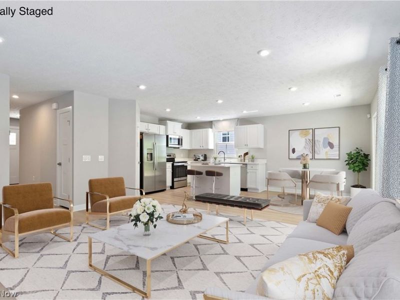 113 W Spring Drive, Elyria, OH 44035 Photo 3