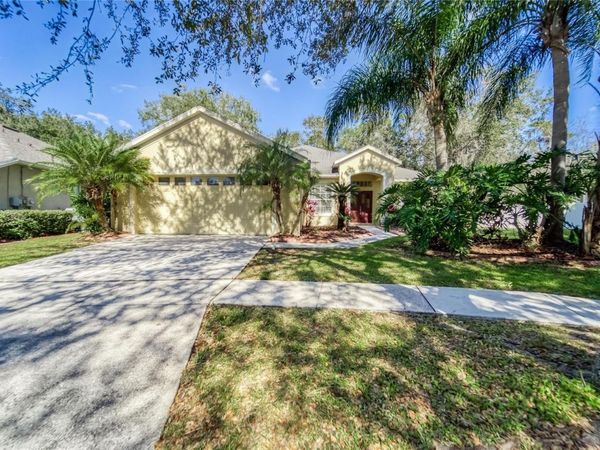 10124 CANNON DRIVE , RIVERVIEW, FL 33578