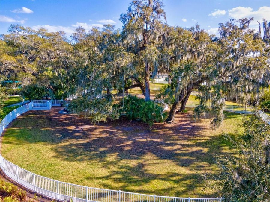 Property Image 87