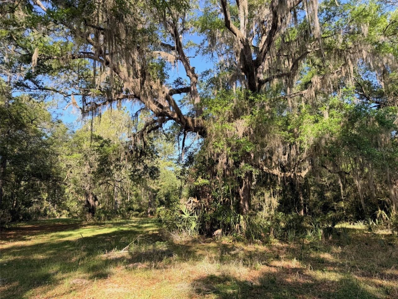 6650 NW 110th Avenue , Chiefland, FL 32626 Photo