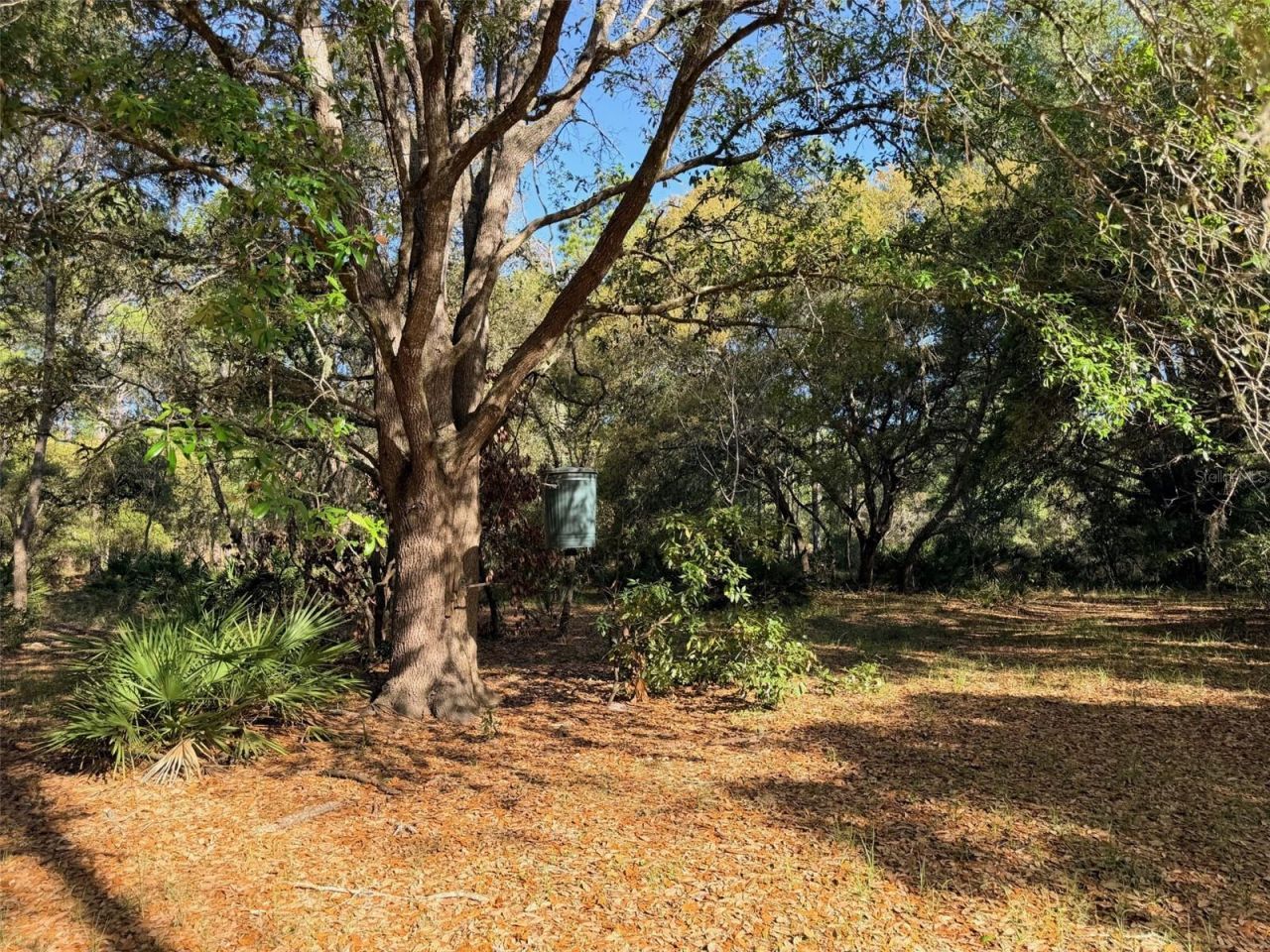 6650 NW 110th Avenue , Chiefland, FL 32626 Photo