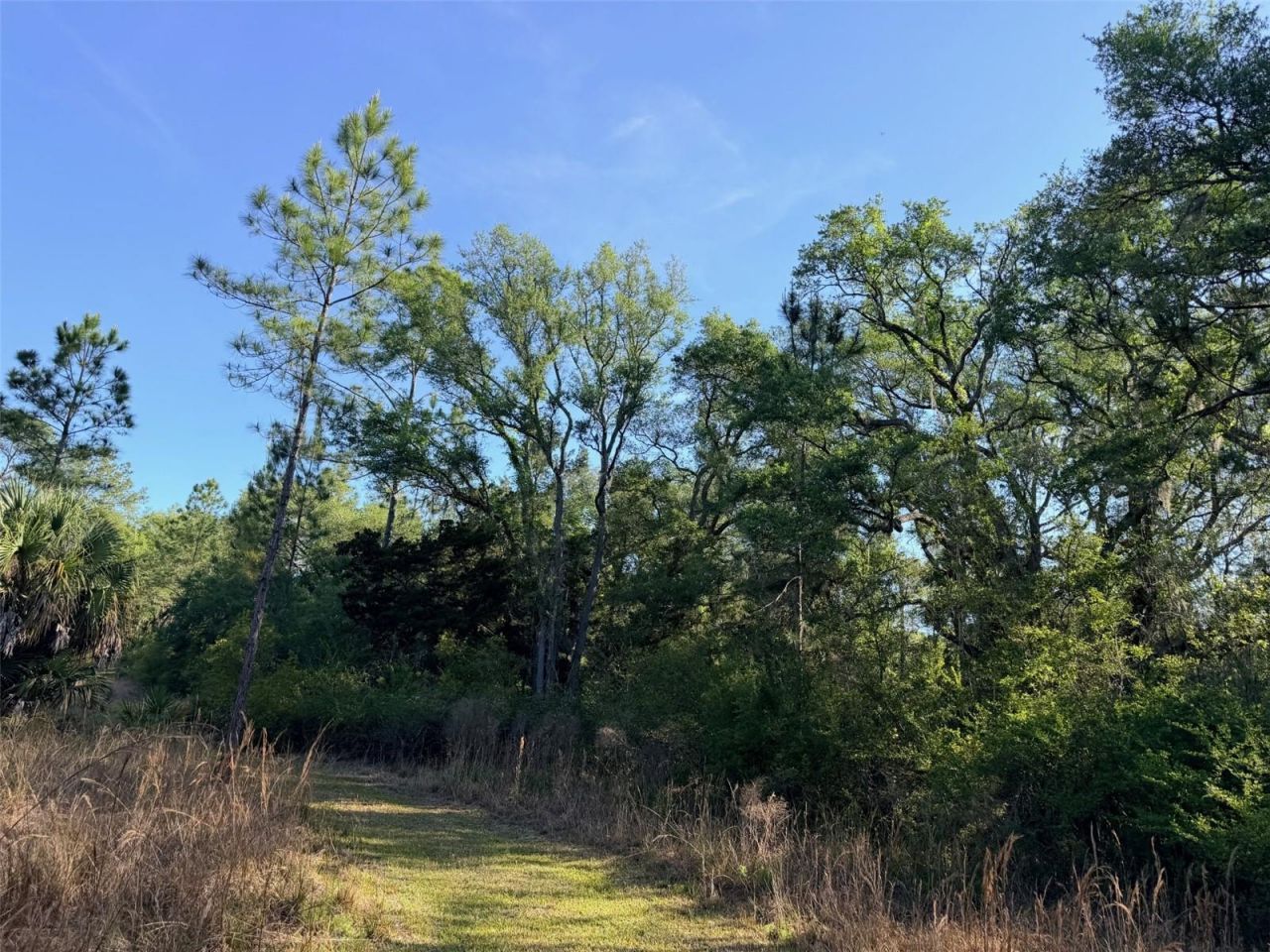 6650 NW 110th Avenue , Chiefland, FL 32626 Photo