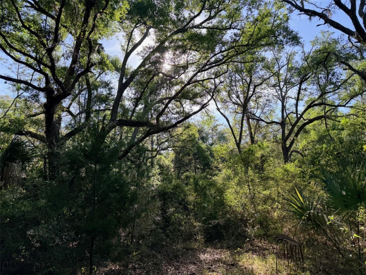 6650 NW 110th Avenue , Chiefland, FL 32626 Photo