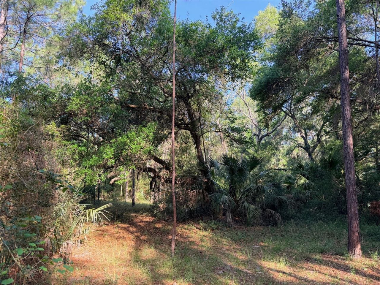 6650 NW 110th Avenue , Chiefland, FL 32626 Photo