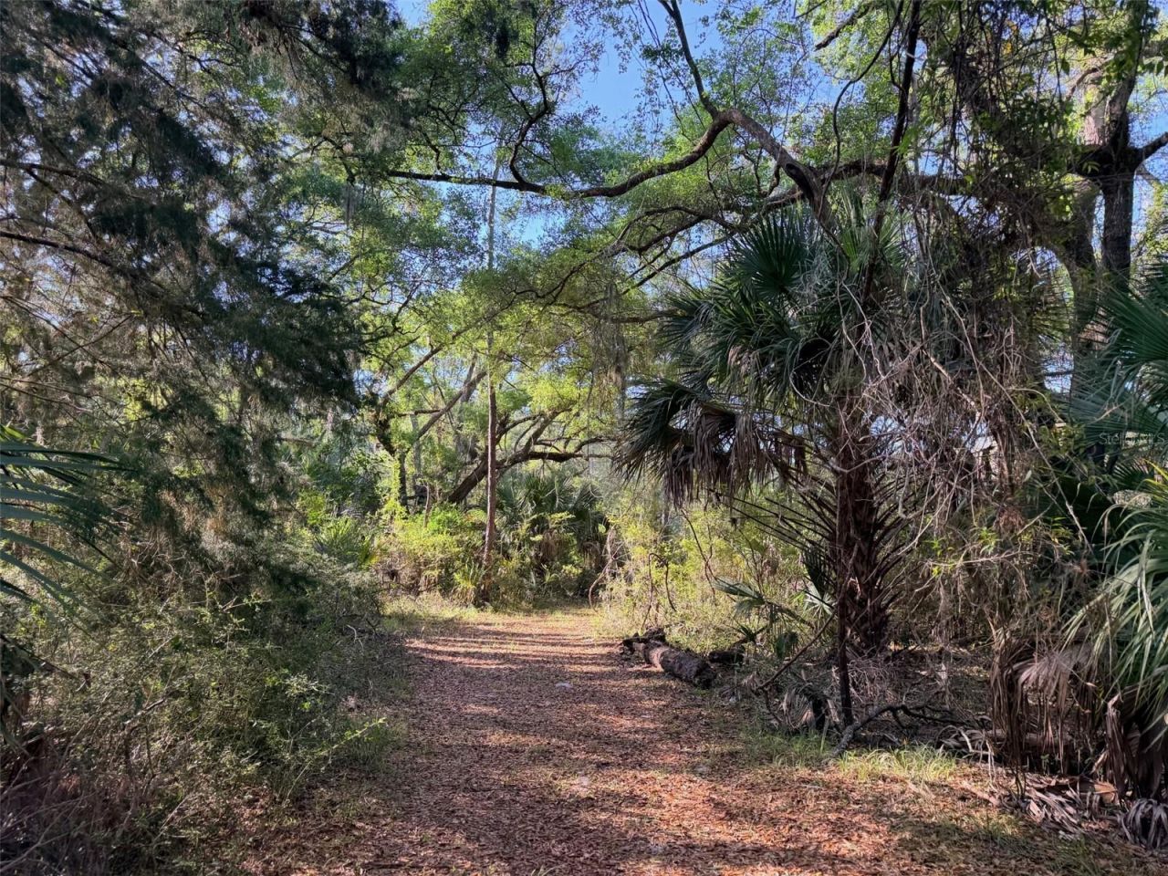 6650 NW 110th Avenue , Chiefland, FL 32626 Photo