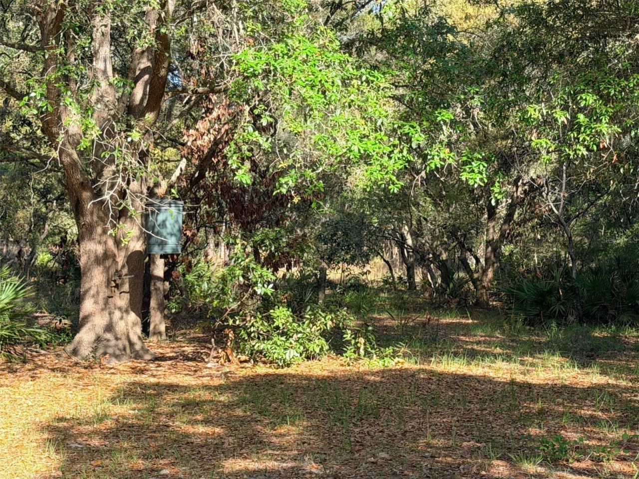 6650 NW 110th Avenue , Chiefland, FL 32626 Photo