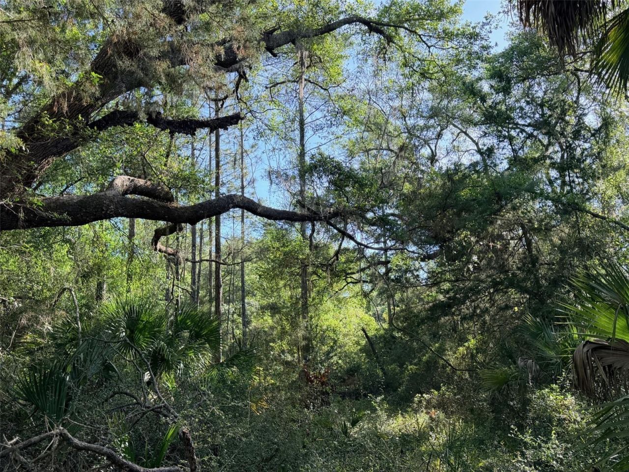 6650 NW 110th Avenue , Chiefland, FL 32626 Photo