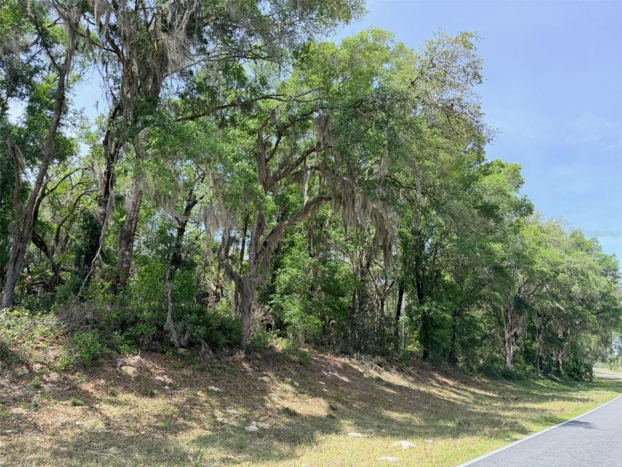 6650 NW 110th Avenue , Chiefland, FL 32626 Photo