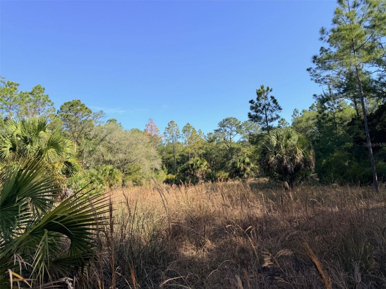 6650 NW 110th Avenue , Chiefland, FL 32626 Photo