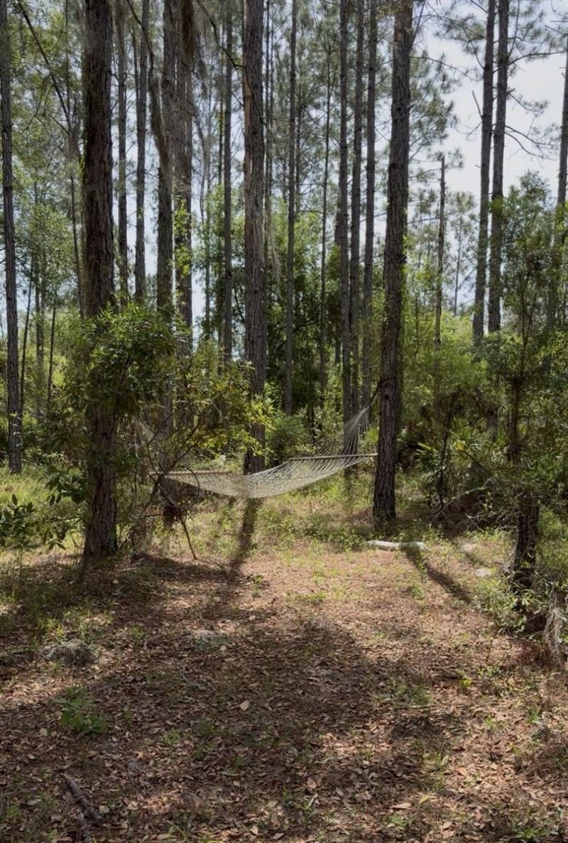 6650 NW 110th Avenue , Chiefland, FL 32626 Photo