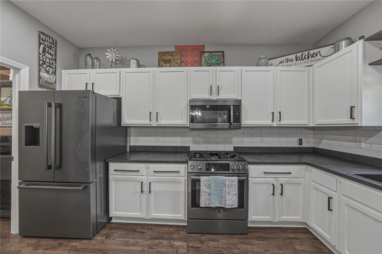 3167 Blackwater Oaks Way , Mulberry, FL 33860 Photo