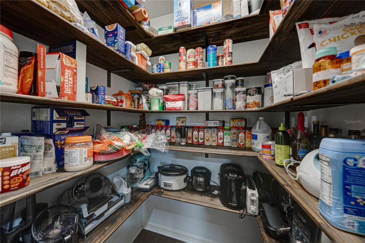 3167 Blackwater Oaks Way , Mulberry, FL 33860 Photo