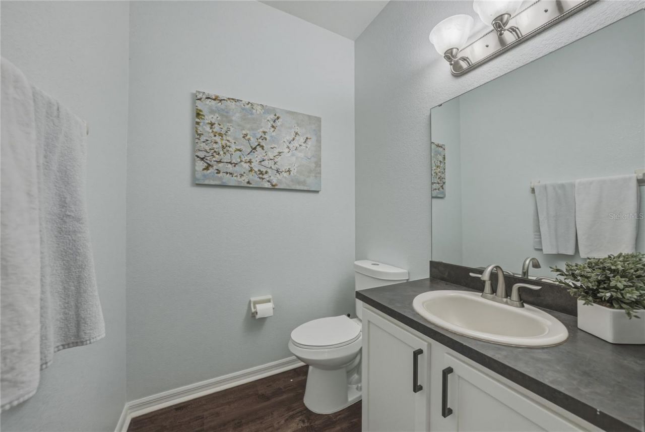 3167 Blackwater Oaks Way , Mulberry, FL 33860 Photo