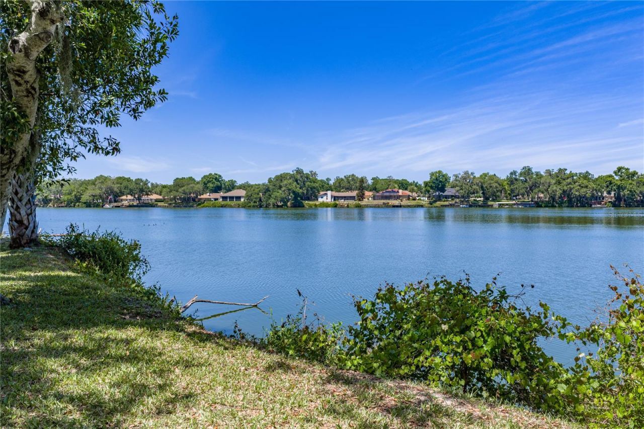 3167 Blackwater Oaks Way , Mulberry, FL 33860 Photo