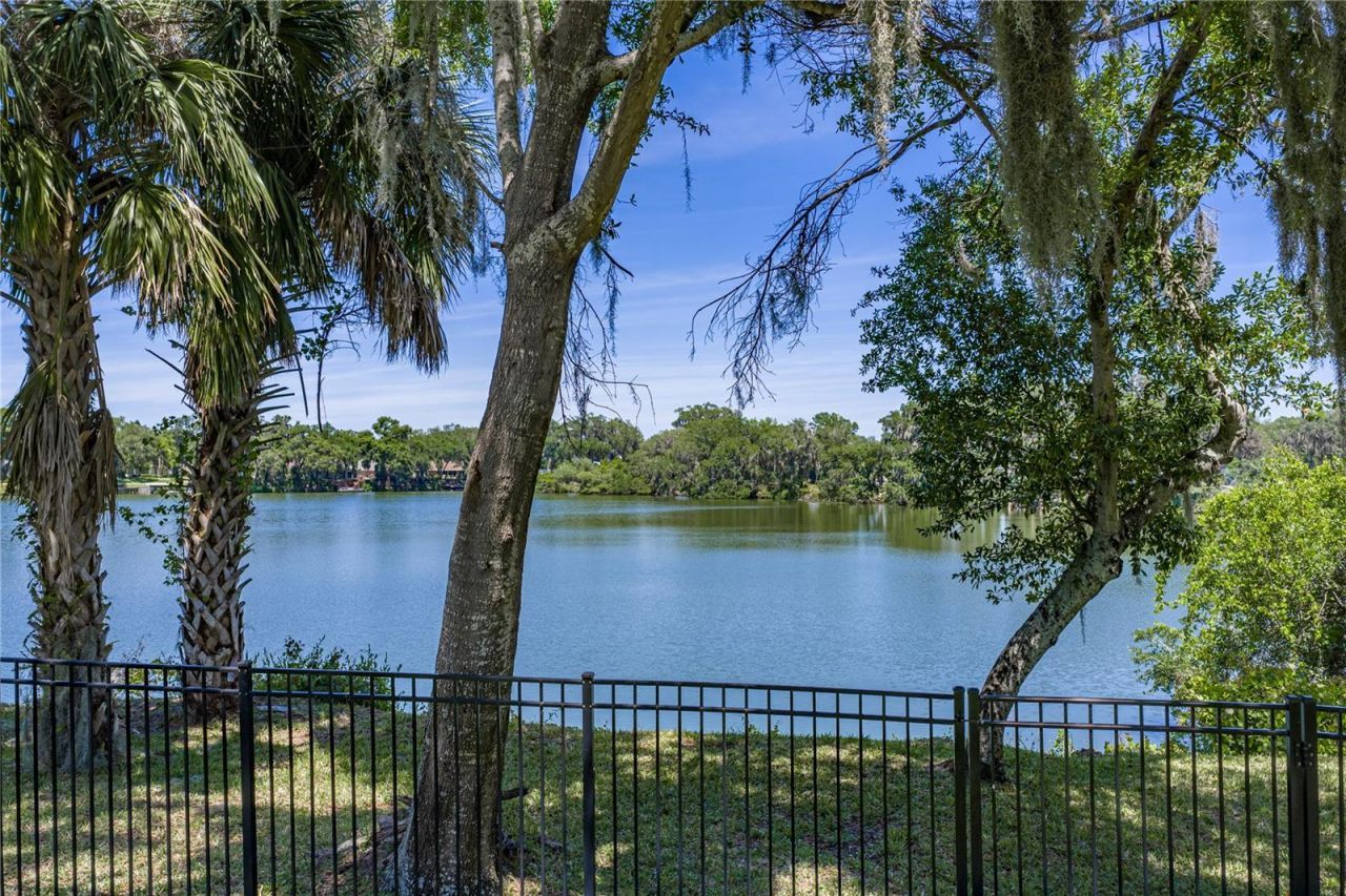 3167 Blackwater Oaks Way , Mulberry, FL 33860 Photo