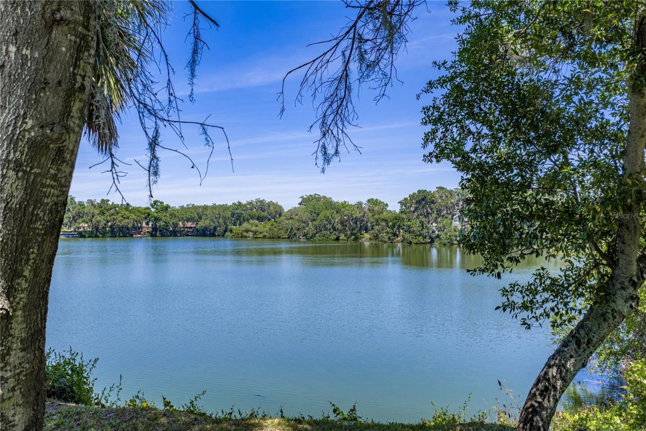 3167 Blackwater Oaks Way , Mulberry, FL 33860 Photo