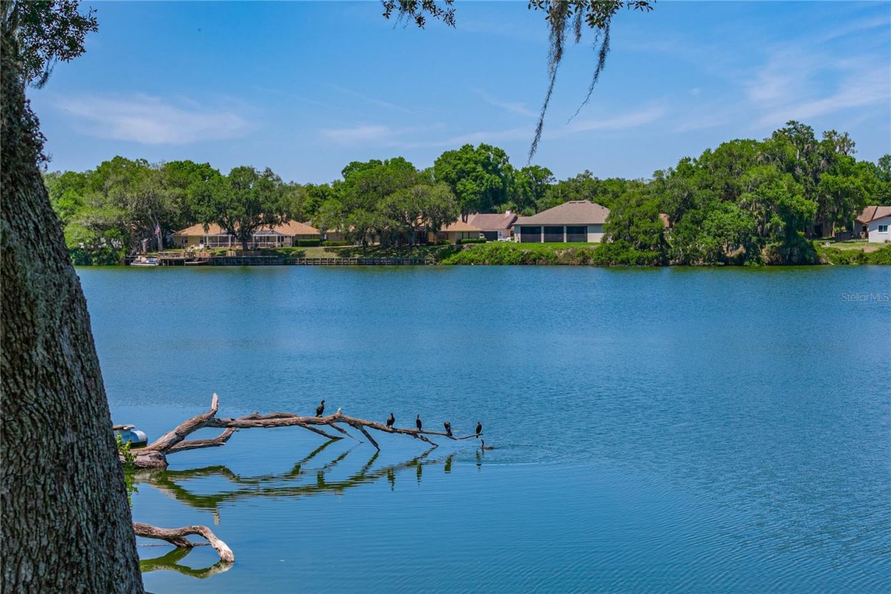 3167 Blackwater Oaks Way , Mulberry, FL 33860 Photo