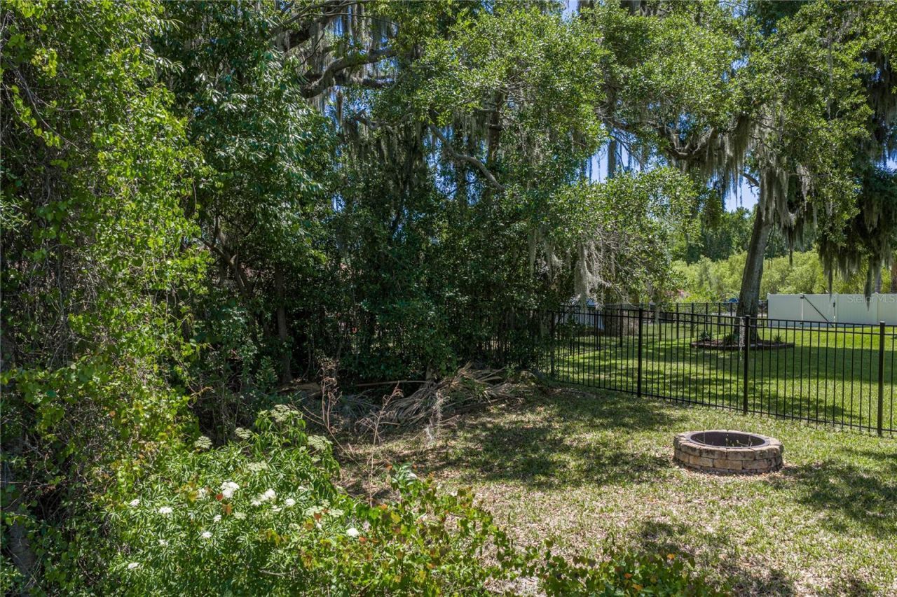 3167 Blackwater Oaks Way , Mulberry, FL 33860 Photo