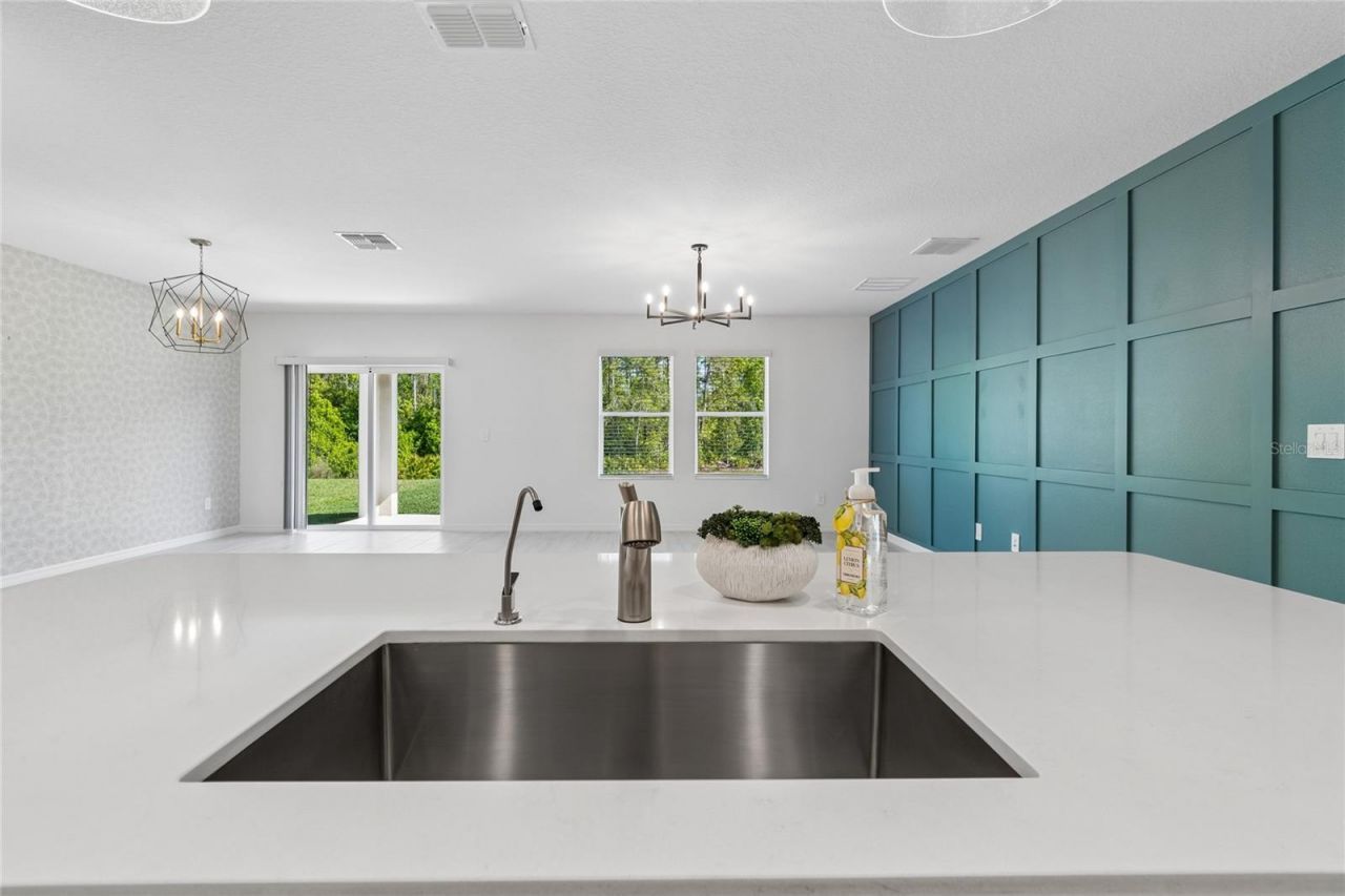 10065 Gentle Rain Drive, Land O Lakes, FL 34638 Photo