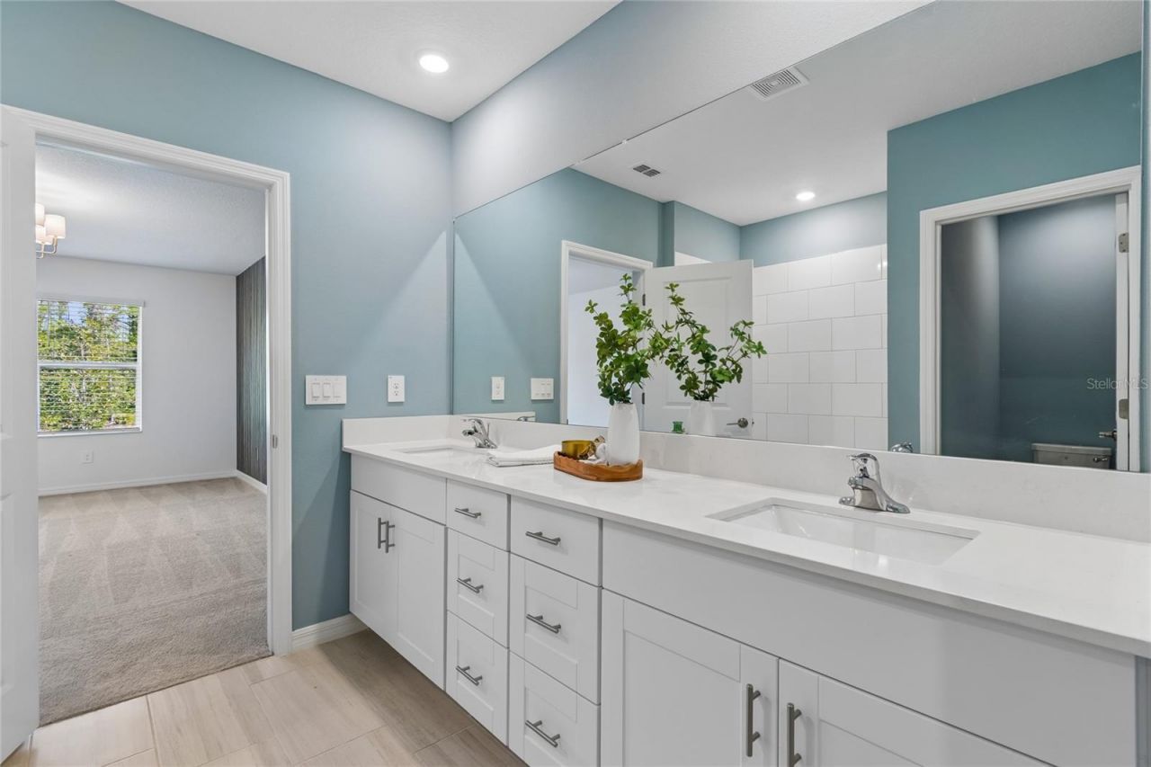 10065 Gentle Rain Drive, Land O Lakes, FL 34638 Photo
