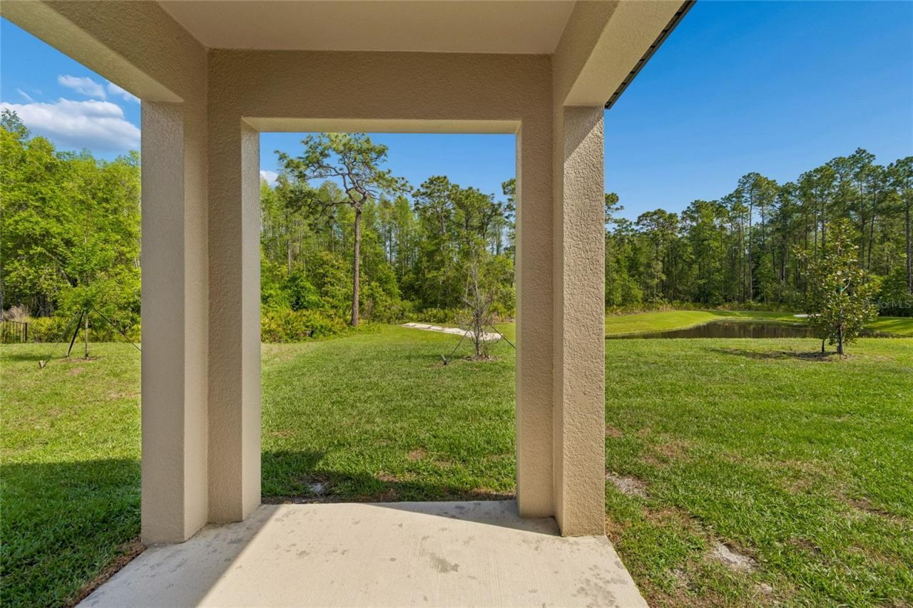 10065 Gentle Rain Drive, Land O Lakes, FL 34638 Photo