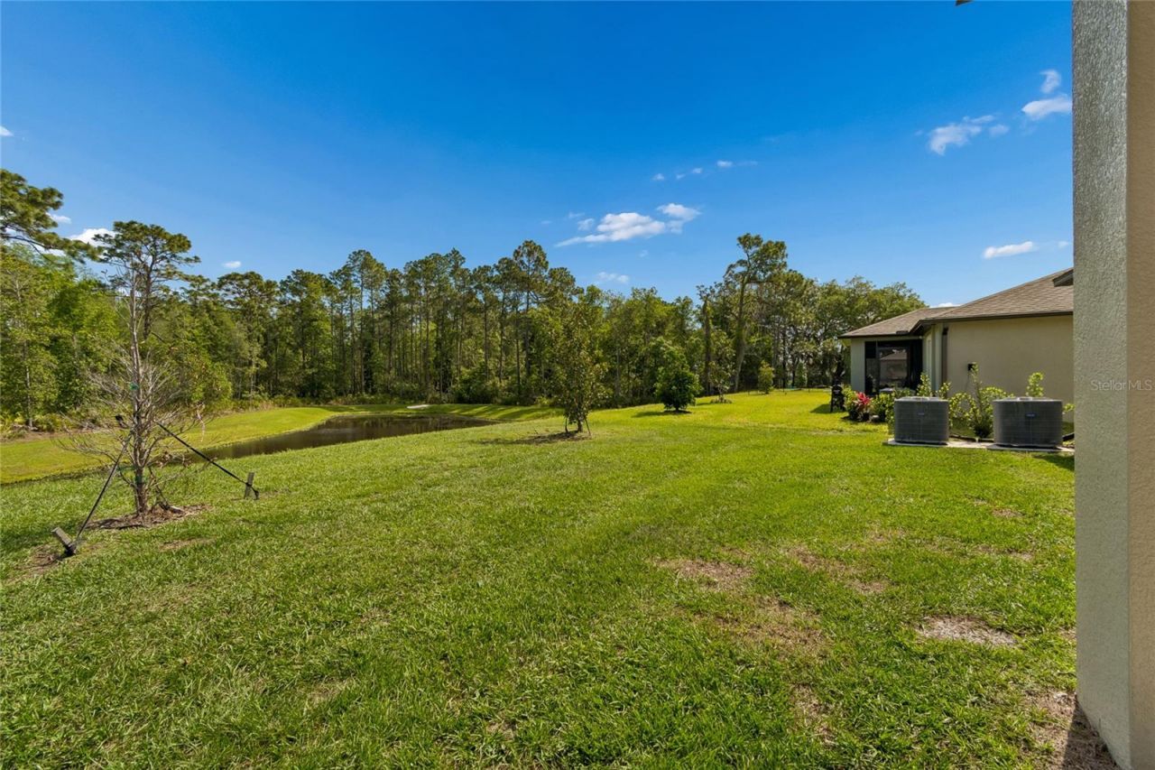 10065 Gentle Rain Drive, Land O Lakes, FL 34638 Photo