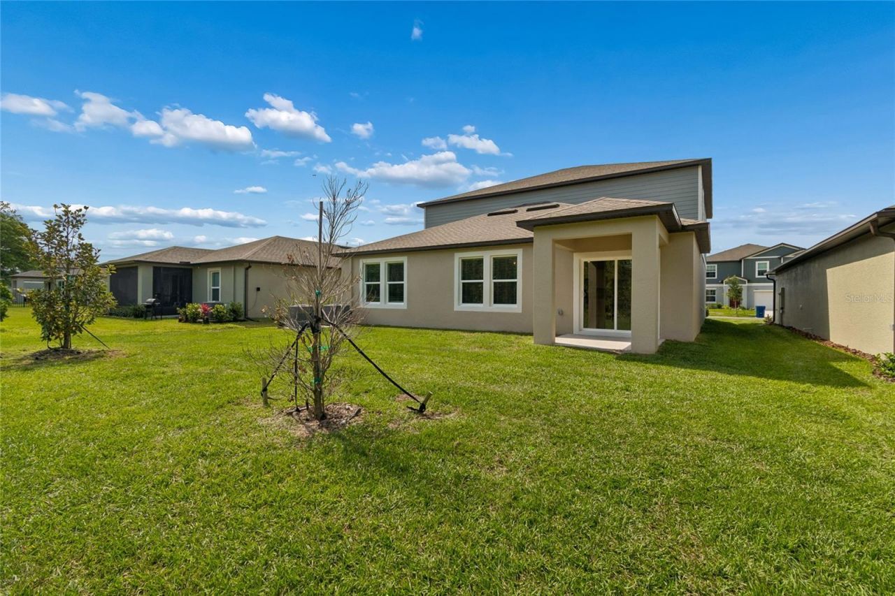 10065 Gentle Rain Drive, Land O Lakes, FL 34638 Photo