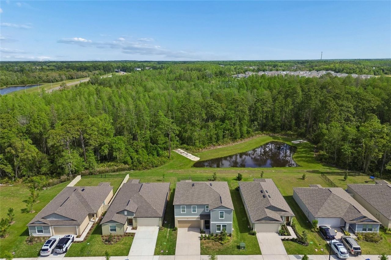 10065 Gentle Rain Drive, Land O Lakes, FL 34638 Photo